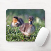 Tapis De Souris Canard (Avec souris)