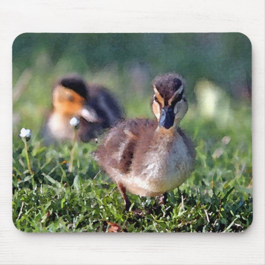 Tapis De Souris Canard (Devant)