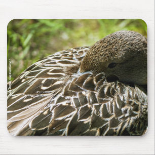 Tapis De Souris Canard