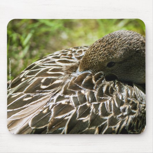 Tapis De Souris Canard (Devant)