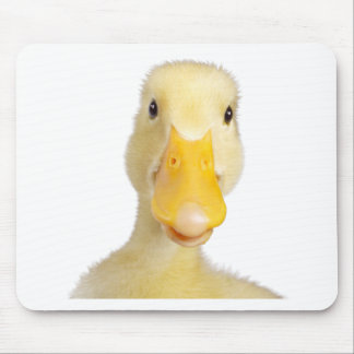 Tapis De Souris Canard