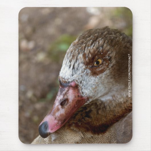 Tapis De Souris Canard (Devant)