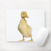 Tapis De Souris Canard (1 semaine) (Avec souris)