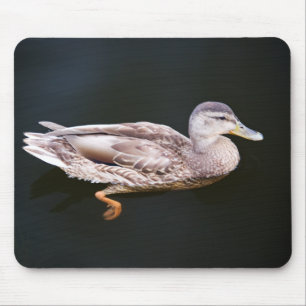 Tapis De Souris Canard 907b