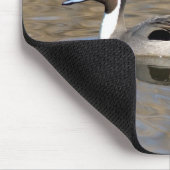 Tapis De Souris Canard À Pintail Nage Dans Un Étang (Coin)