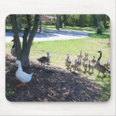 Tapis De Souris Canard blanc amical avec des oies (Devant)