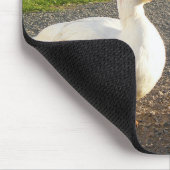 Tapis De Souris Canard blanc de canard de Muscovy (Coin)