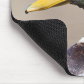 Tapis De Souris Canard colvert (Coin)