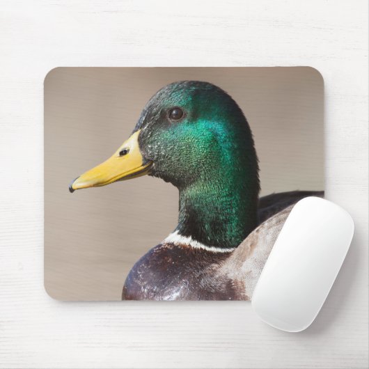 Tapis De Souris Canard colvert (Avec souris)