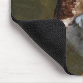 tapis de souris canard colvert sur le point de s'e (Coin)