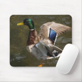 tapis de souris canard colvert sur le point de s'e (Avec souris)