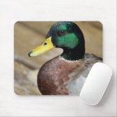 Tapis De Souris Canard de Mallard (Avec souris)