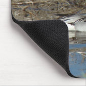 Tapis De Souris Canard Drake du canard pilet B5 (Coin)