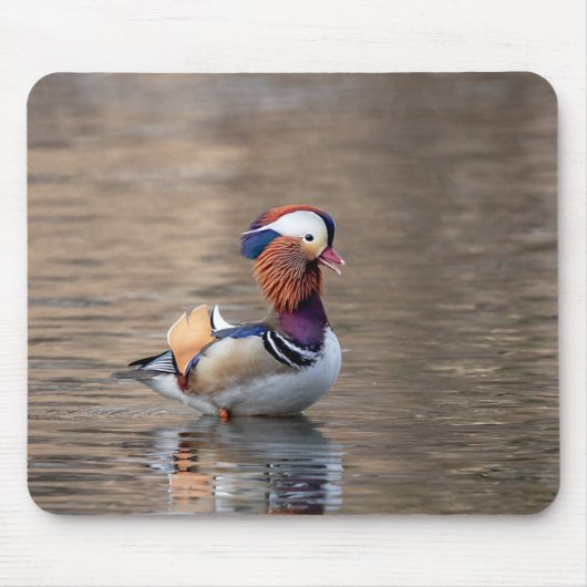 Tapis De Souris Canard mandarin (Devant)