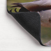 Tapis De Souris Canard Mousepad (Coin)