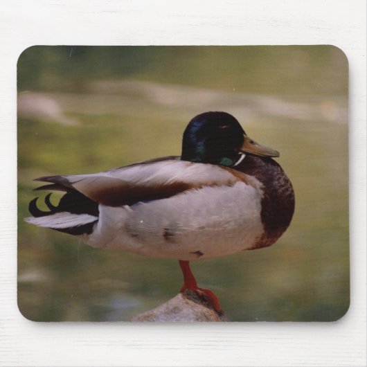 Tapis De Souris Canard Mousepad (Devant)