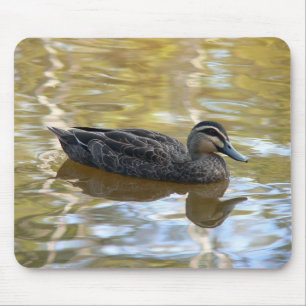 Tapis De Souris Canard noir du Pacifique nageant sur l'eau dorée