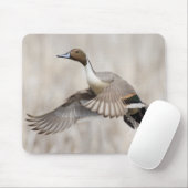 Tapis De Souris Canard pilet mâle en vol (Avec souris)
