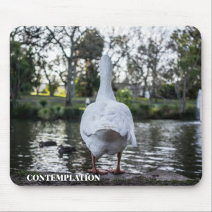 Tapis De Souris Canard réfléchi