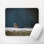 Tapis De Souris Canard solitaire (Avec souris)