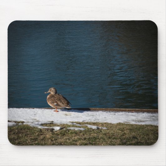 Tapis De Souris Canard solitaire (Devant)