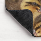 Tapis De Souris Canards ! ! (Coin)
