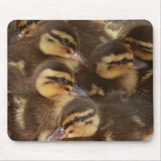 Tapis De Souris Canards ! !