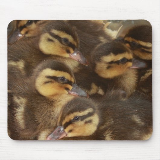 Tapis De Souris Canards ! ! (Devant)