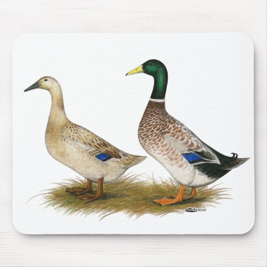 Tapis De Souris Canards : Argent Welsh Harlequin (Devant)