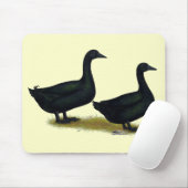 Tapis De Souris Canards : Cayugas noirs (Avec souris)