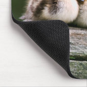 Tapis De Souris Canards de bébé (Coin)