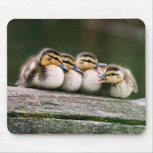 Tapis De Souris Canards de bébé