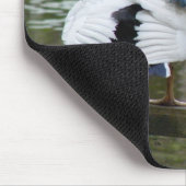 Tapis De Souris Canards de Muscovy (Coin)