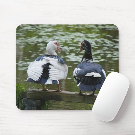 Tapis De Souris Canards de Muscovy (Avec souris)