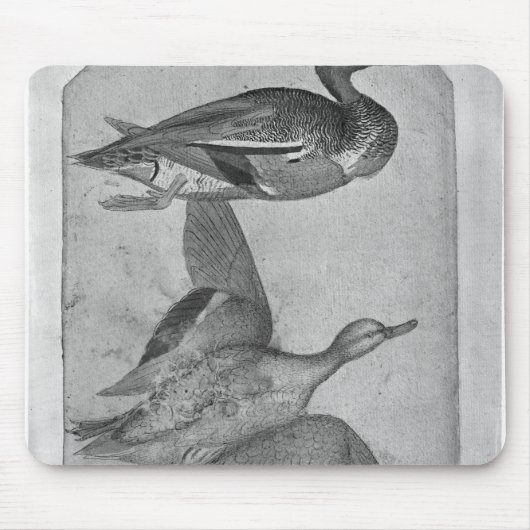 Tapis De Souris Canards, le de l'album de Vallardi (Devant)