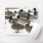 Tapis De Souris Canards ! Mousepad (Avec souris)