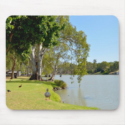 Tapis De Souris Canards Sur Le Fleuve Murray Australia, (Devant)