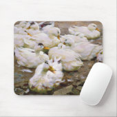 Tapis De Souris Canards sur un étang (Avec souris)