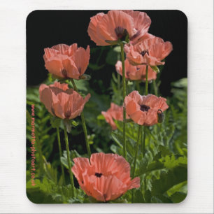 Tapis de souris Candy Pops