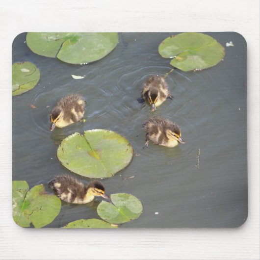 Tapis de souris canetons (Devant)