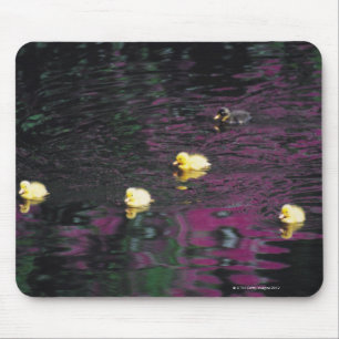 Tapis De Souris canetons