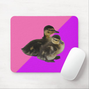 Tapis De Souris Canetons sur framboise rose et sorbet violet