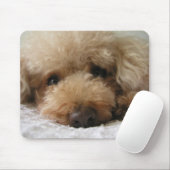 Tapis De Souris Caniche roux (Avec souris)