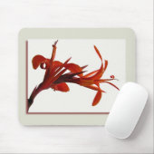 Tapis De Souris Canna Mousepad (Avec souris)