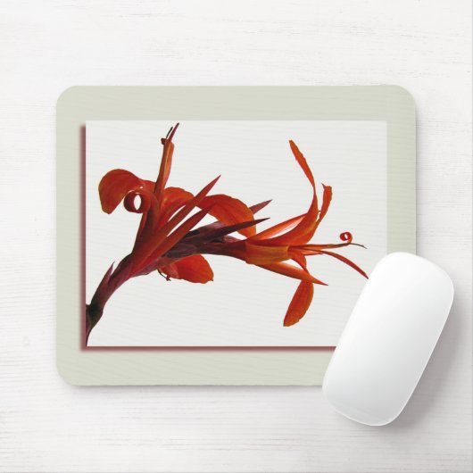 Tapis De Souris Canna Mousepad (Avec souris)