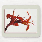 Tapis De Souris Canna Mousepad (Devant)