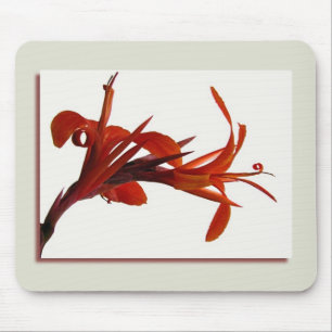 Tapis De Souris Canna Mousepad