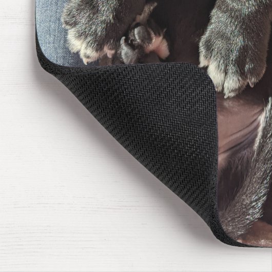 Tapis De Souris Canne Corso Puppy Pad (Coin)