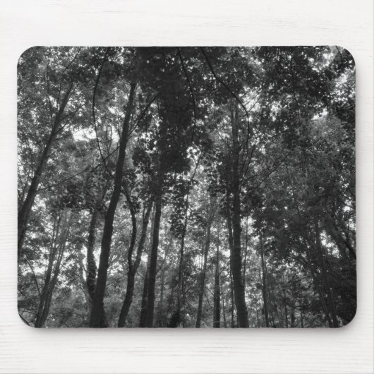 Tapis De Souris Canopée de bois 02 BW (Devant)