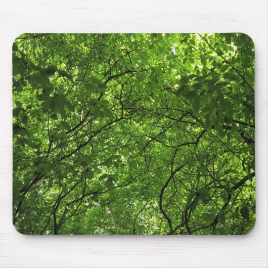 Tapis De Souris Canopée des bois (Devant)